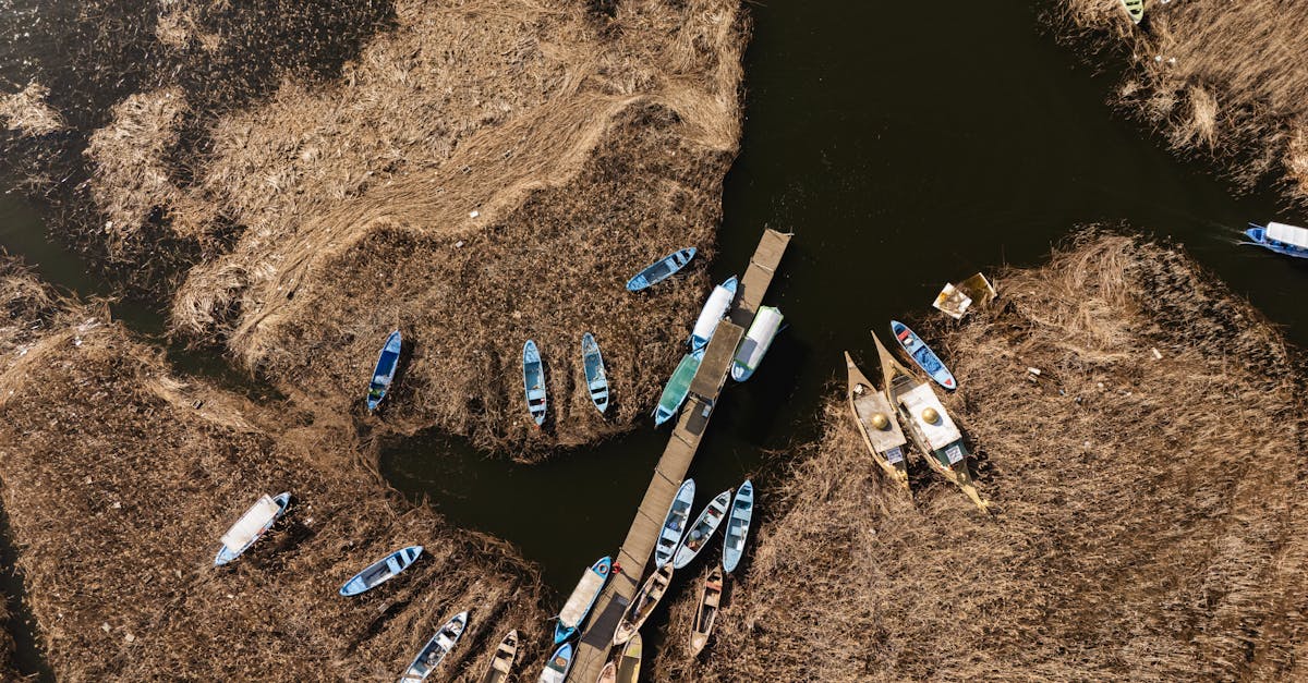 Navigating the 2025 Landscape of AI-Powered Customer Segmentation