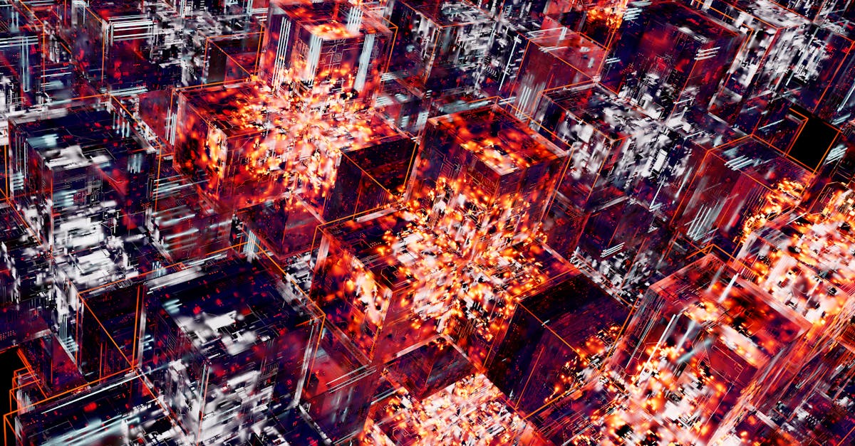 Transforming DTC Brands: Leveraging Data-Driven Strategies to Compete